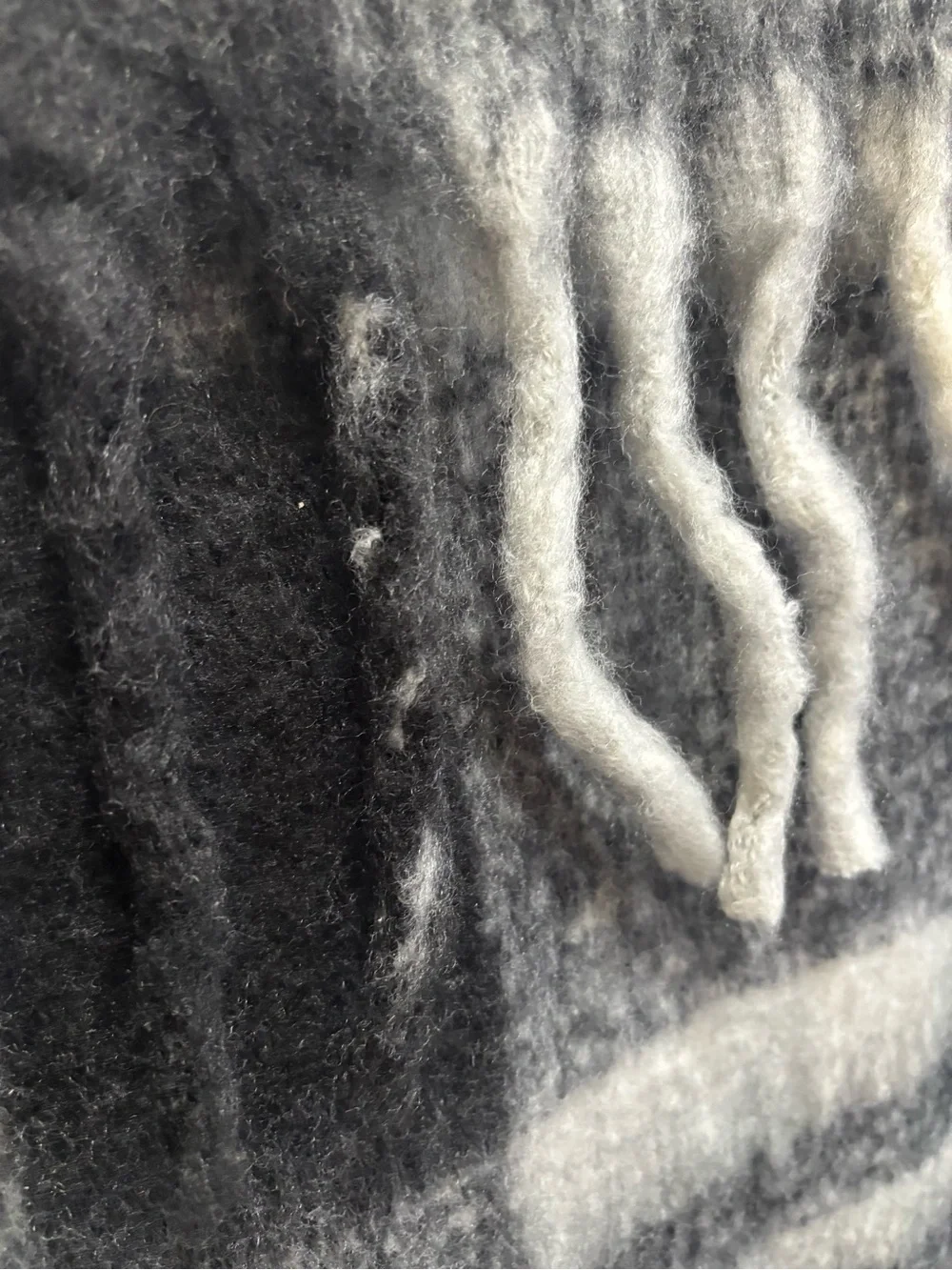 Madden NYC Black & White Fringe Scarf